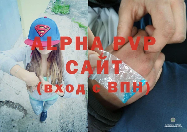 крисы Белокуриха