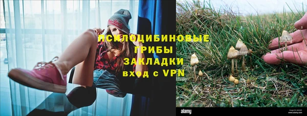ешки Белоозёрский