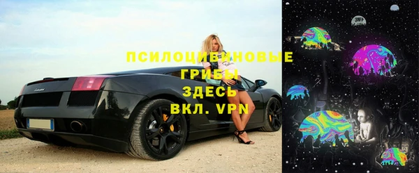 крисы Белокуриха